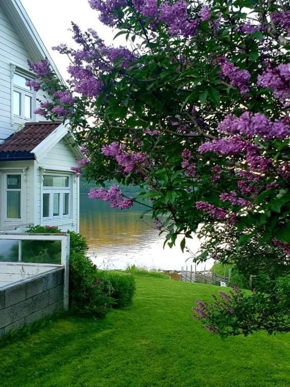 Kraemarvika Lodge Tromsø Exterior foto