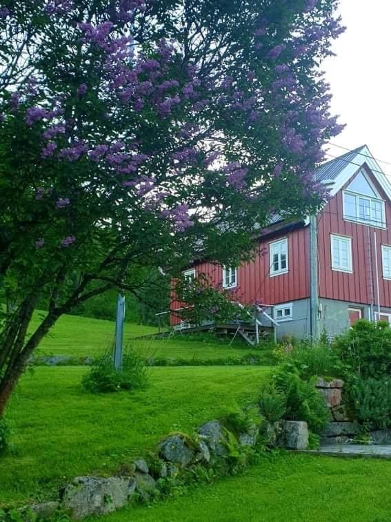 Kraemarvika Lodge Tromsø Exterior foto